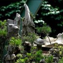 자연예술랜드 이미지