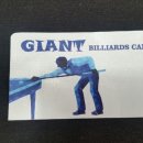 자이언트 빌리어드 이미지