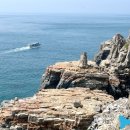 총각상회 이미지