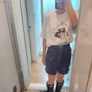 디자인 톨 | 헌터 글로스 톨 레인부츠 후기 | 유광VS무광, 240VS250 고민 끝