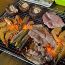 솔푸른향기애견 | 가성비 좋은 태안 애견펜션 솔푸른향기 안면도 애견펜션 반달방 후기