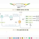 분자생물학-SOS 반응 관련 질문 이미지