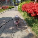 길따라행복 이미지