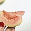 선한이웃 지역아동센터 | 사순절 제 1주 사도행전 4장13절-22절