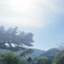 용설호수농원