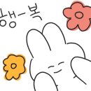 신알쌈쭈꾸미가 이미지