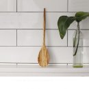 올리브나무 이미지