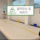 [유아체육] 지각운동 | [대구 달서구 특수체육센터] 이룸 특수체육 운동 발달센터 발달장애 아동 1:1 특수체육 수업 - 굴러오는...