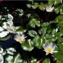 제이드 펜션 이미지