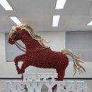 리더스코리아 | 2026 벌룬리더스 와우파티코리아 '2026년 붉은 말의 해 적마작품'