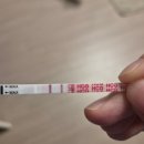 1도씨치킨&돈가스 무주점 | 아니벌써 연말이라니.. 임신 10주까지 기록☘️