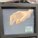 센티멘탈 버스