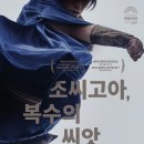 (공연) 국립극단 <조씨고아 복수의 씨앗> 이미지