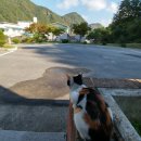 해맑은마음터 이미지