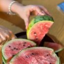 넘치는책방 이미지