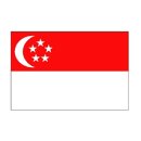 싱가포르 국기 들고온 토트넘팬 ㄷㄷ 이미지