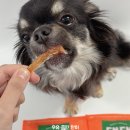 (주)헬로마이펫 이미지