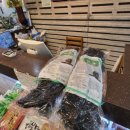 완도어반 이미지