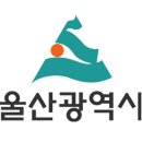 신흥사 구 대웅전 단청반자 이미지