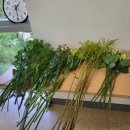 화훼장식기능사 이미지