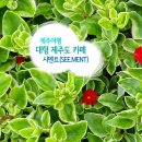 쿠니 아웃도어