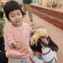 테이블에이 놀이터 이미지