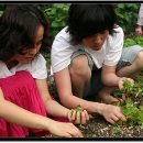 그림앤정원 이미지