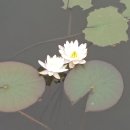 미추홀공원(다례원 내) 이미지