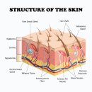 웰에이징의원 | 대치역피부과 리투오 유지기간과 추천 대상 총정리