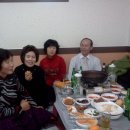 진원초등학교 Daum카페