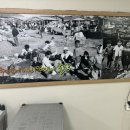 신대구횟집 - 창원시 마산합포구 어시장1길 23 | 포항 맛집 포항영일대 신대구횟집