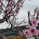 광주현대농장 이미지