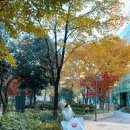 금남 관광안내소 네이버블로그