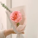 송이플라워 - 진주시 대신로348번길 19 | 송이플라워
