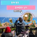 등대로R | 동해 묵호 이런 곳 있었어? 바람의언덕 타파스 와인&amp;비어 찐후기