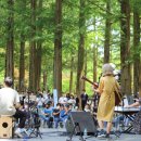 청춘-숲속의 섬,  이미지