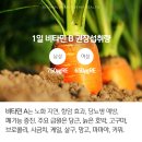 비타민마트 이미지