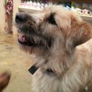 별빛동물병원 이미지