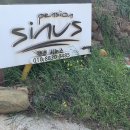 시누스 | 남해 스파 팬션 풀빌라 “시누스” 후기! 남해 온수풀 펜션에서 물놀이 하기 :)