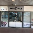 멍품 강아지분양 본점 | 일산강아지분양 어디서부터 시작해야 할까 망설이다 발견한 곳! REAL DOGS 강아지분양 일산본점 후기