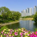 버드나무식당 이미지