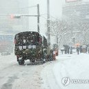 육군 31사단·11공수, 전남 폭설 피해 농가 복구지원 이미지