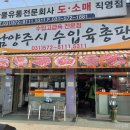 미트피아 이미지