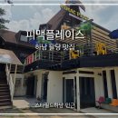 아랫배알미길 | 팔당 맛집 한강뷰+반려견 동반 가능한 감성 피자 맛집 하남 피맥플레이스