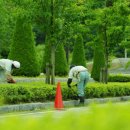 기능사의 집 이미지