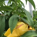 월곡농원 - 가평군 손일로 169 | 월곡농원