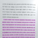 웨딩 피플 - 앨리슨 에스파흐 │ 다시 인생을 살아갈 힘이 되어주는 유쾌하고 뭉클한 이야기
