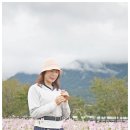 가조온천 이미지