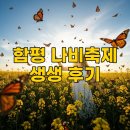 2026 함평 나비축제 일정표 및 먹거리 맛집 여행 후기