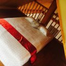 양남힐링펜션 이미지